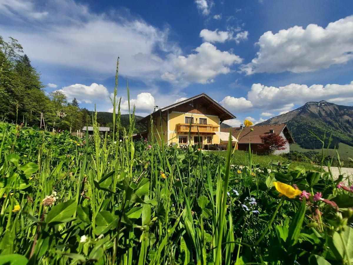 Appartement Reitlhof, Bio Berg Bauernhof Krispl Exterior photo